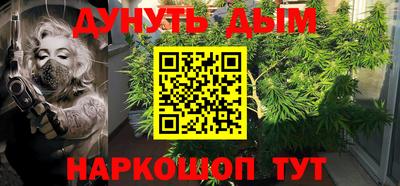 крисы Дубна
