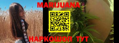 крисы Дубна